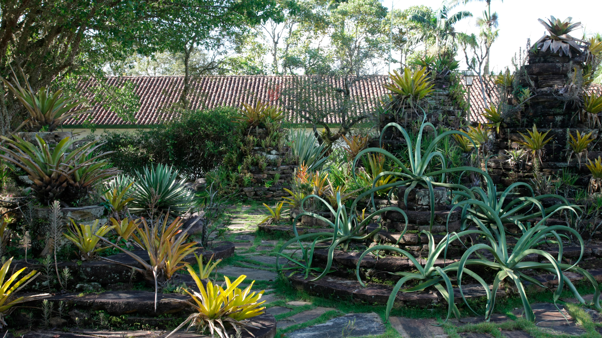Jardim de Roberto Burle Marx - Fazenda Vargem Grande